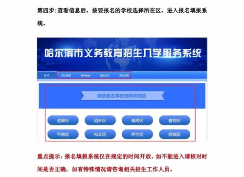 哈爾濱市義務(wù)教育招生入學服務(wù)系統(tǒng)操作指南與信息系統(tǒng)運行維護服務(wù)詳解